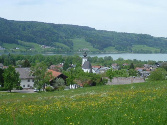 Wunderschoene Ferienwohnung Mit Seeblick Zell am Moos Esterno foto