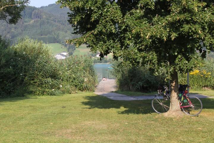 Wunderschoene Ferienwohnung Mit Seeblick Zell am Moos Esterno foto